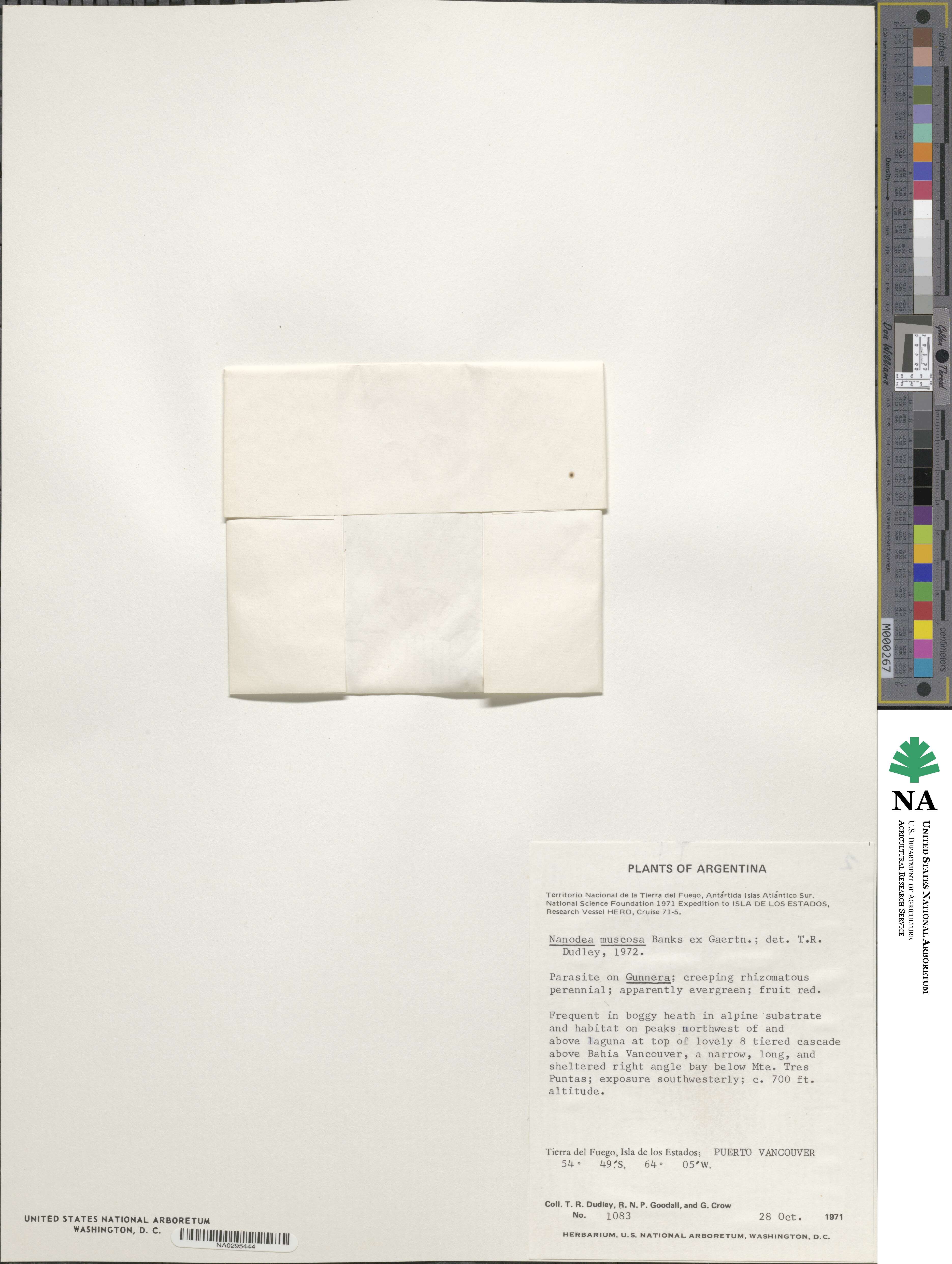 Nanodea image