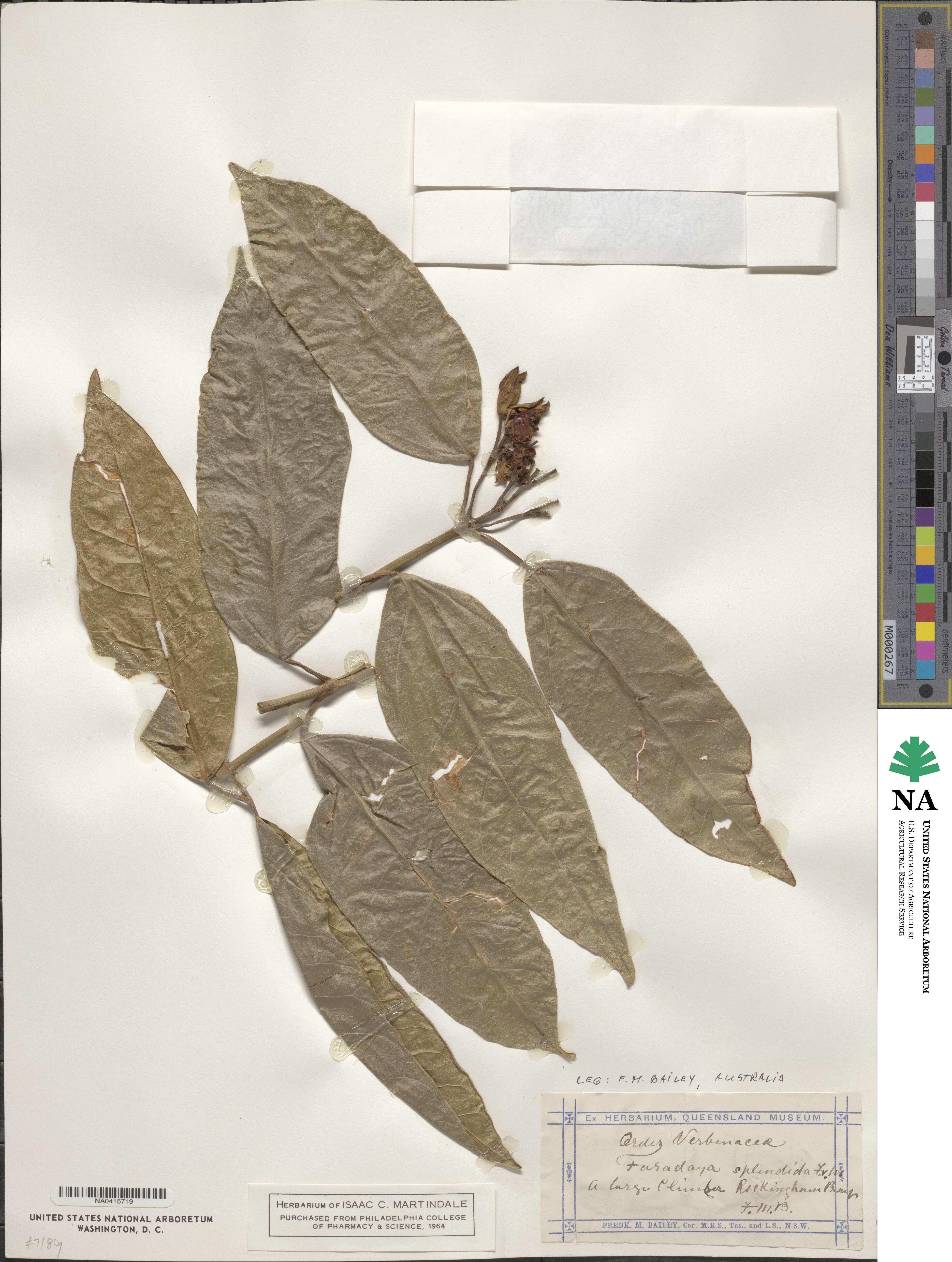 Oxera image