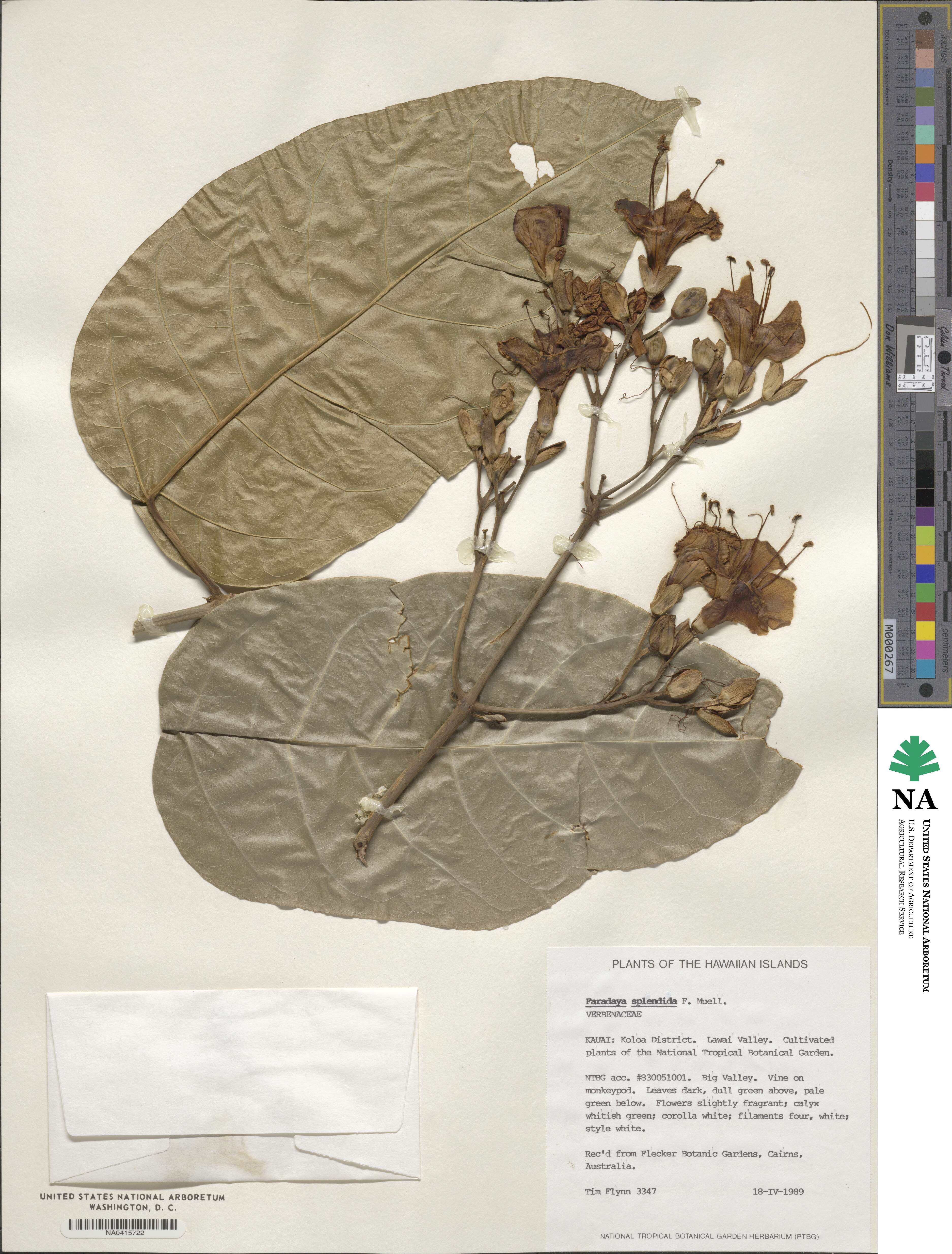 Oxera image