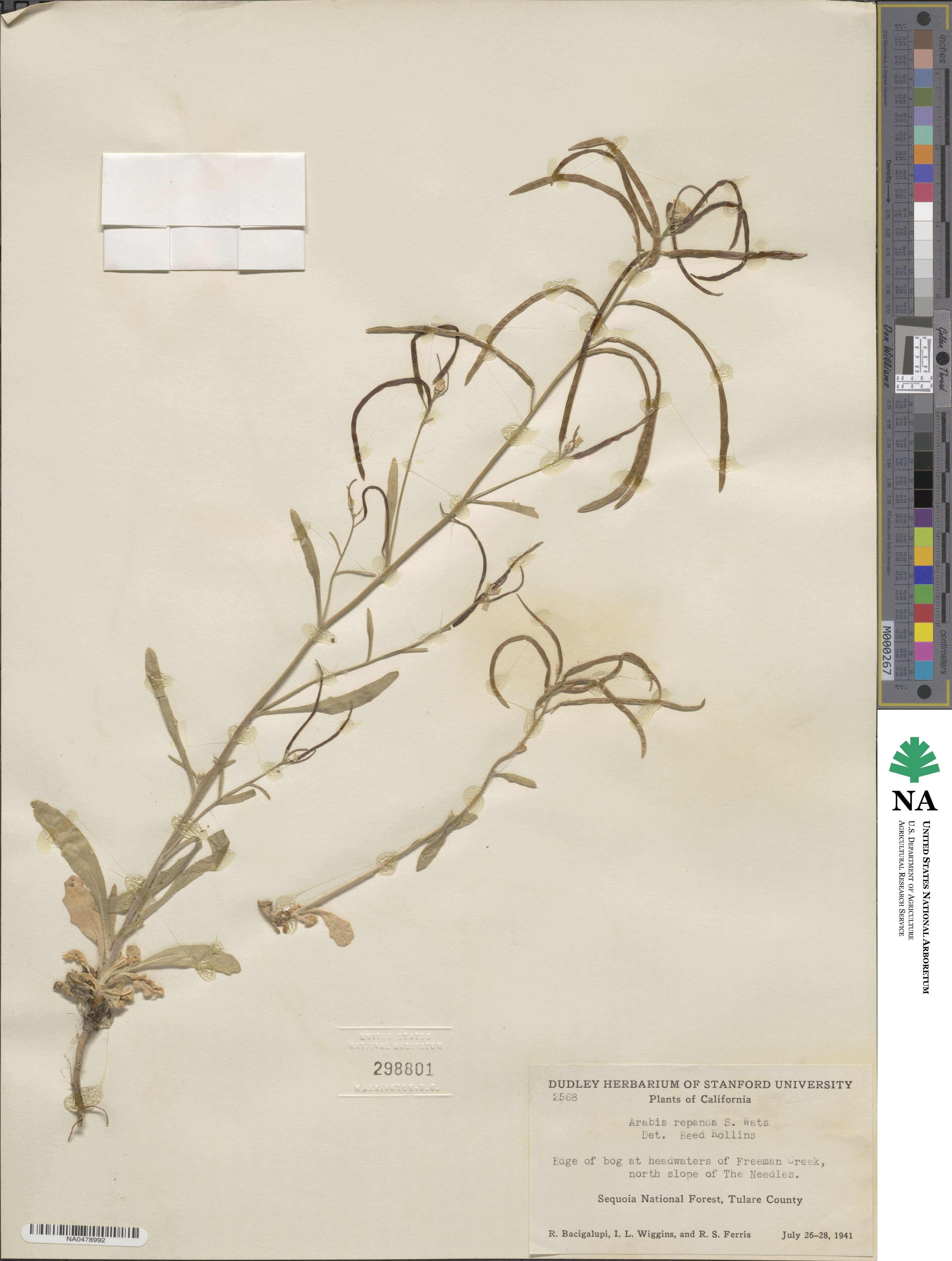 Yosemitea image