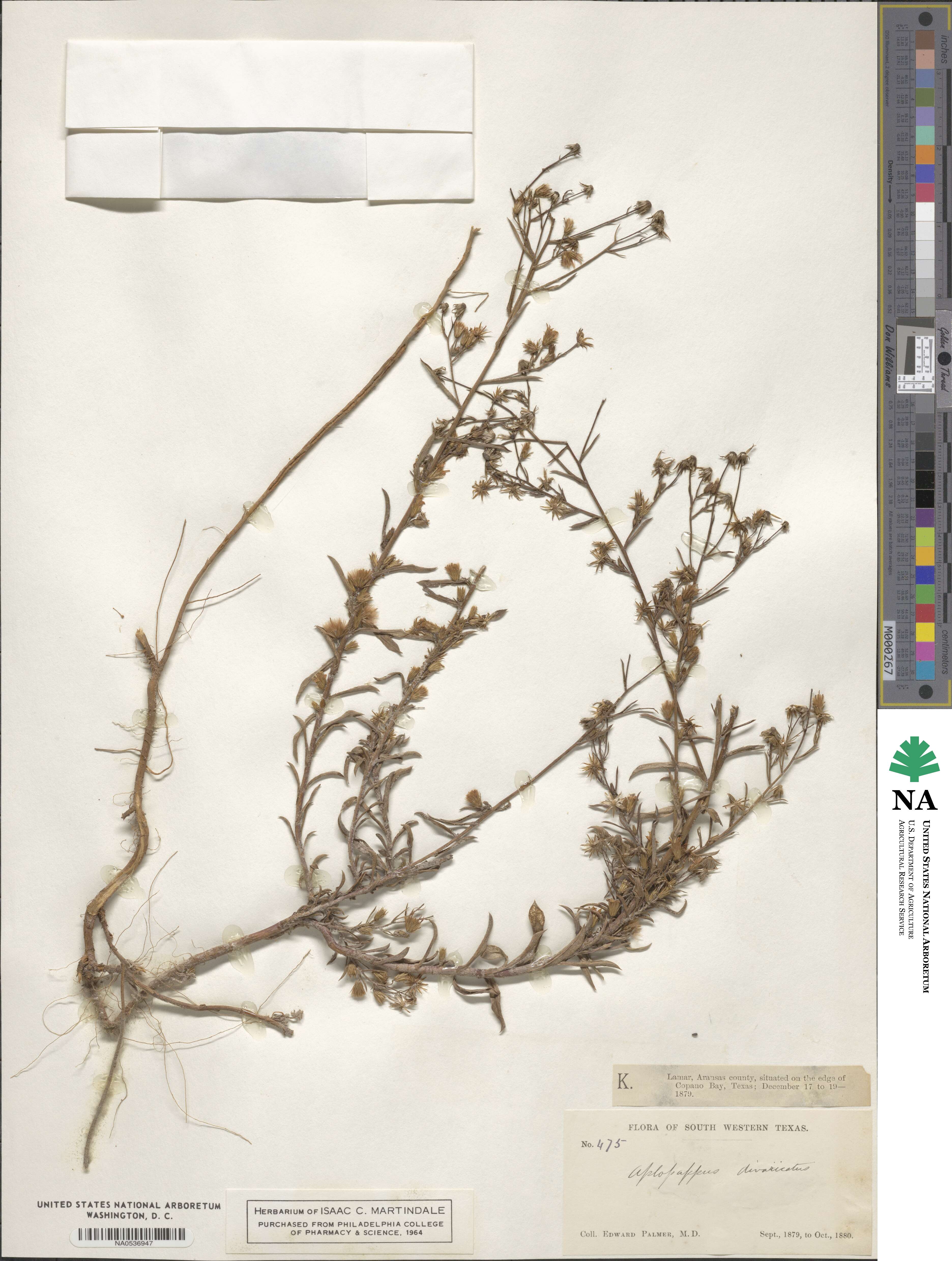 Croptilon image