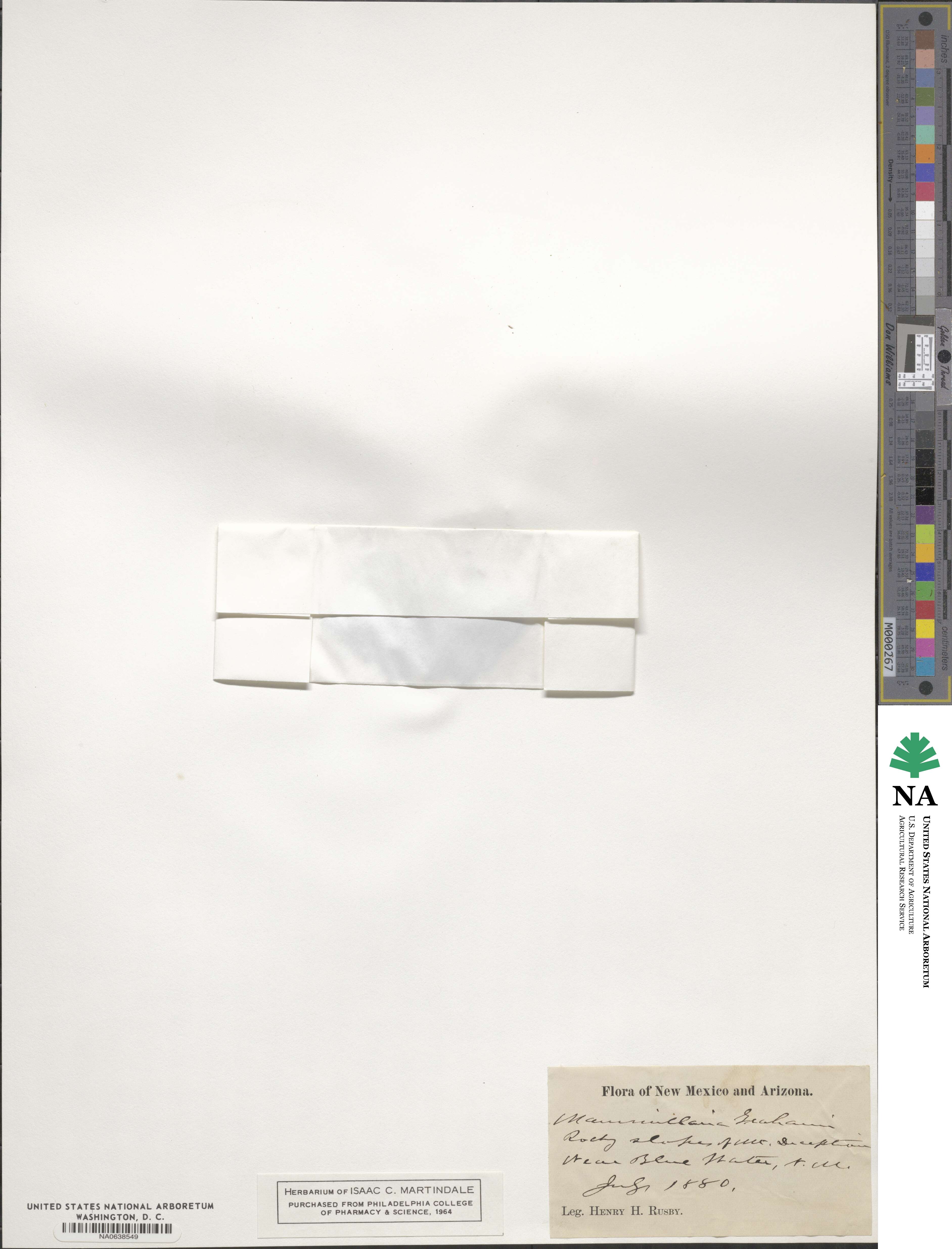 Cochemiea grahamii image