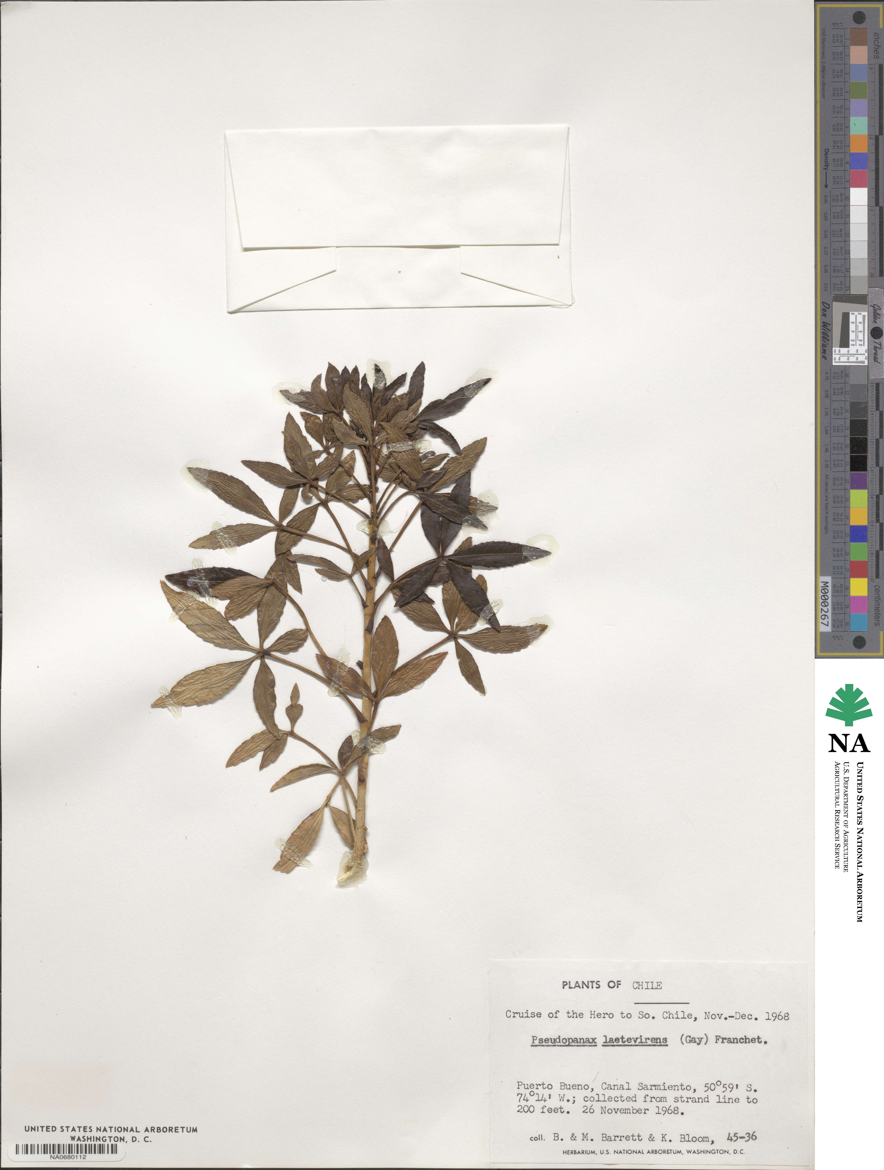 Raukaua image